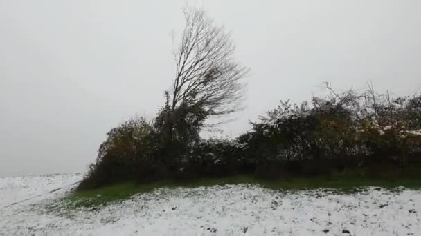 Passeio Carro Invernal Com Campos Cobertos Neve — Vídeo de Stock