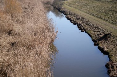 Temiz suyu olan dere, hayvanlar ve bitkiler için yaşam alanıdır.