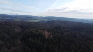 Bavyera 'daki ormanın havadan çekilmiş fotoğrafı. Yoğun iğneli ağaçlar ve açık yeşil bir gras gibi.