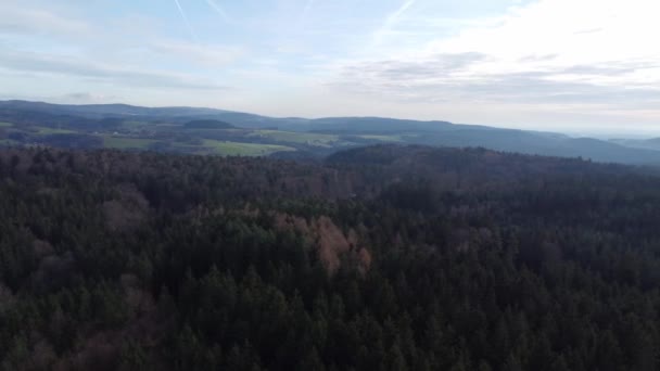 Zdjęcie Lotnicze Lasu Bawarii Gęstymi Igłami Polany Jako Zielone Trawy — Wideo stockowe