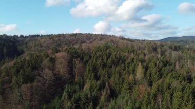Green forests and blue sky with clouds in Bavaria