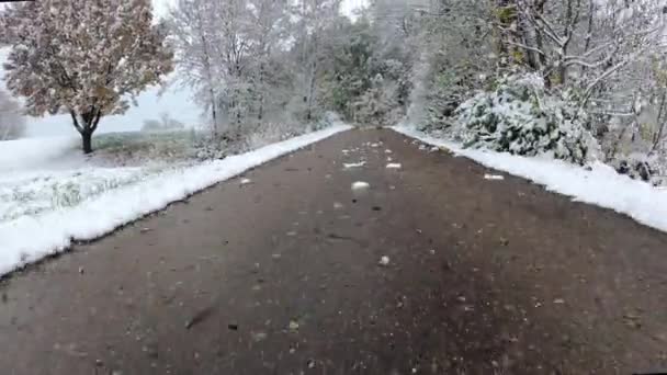 雪に覆われたフィールドで冬の車に乗る — ストック動画