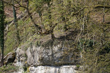 Tuna Nehri ve eski suları Regensburg yakınlarındaki Bavyera 'da fotoğraflanmıştır.