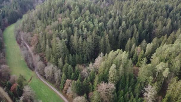 Bavyera Daki Ormanın Havadan Çekilmiş Fotoğrafı Yoğun Iğneli Ağaçlar Açık — Stok video