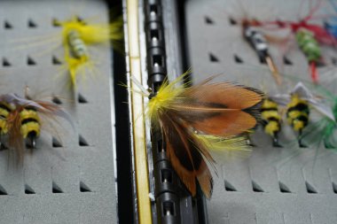 fly for fishing on a background of colored bokeh lights