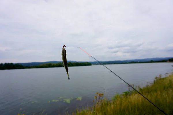 Fishing rod and fish on the background of the lake and sky