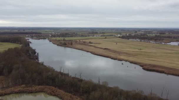 Danube River Idyllic Nature Aerial — Stock video