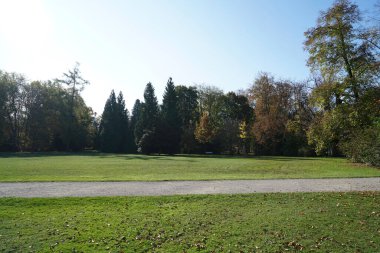 a vertical closeup shot of green grass growing in an empty area with a lawn surrounded with shadows in background