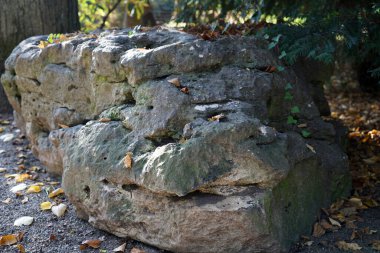 a closeup of stones in a stone in the park.