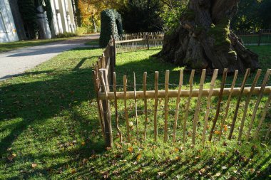 Parkın güzel manzarası