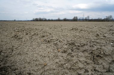 Toprak ve gökyüzü sürülmüş tarlalar