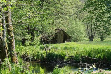 old wood log bridge in the forest