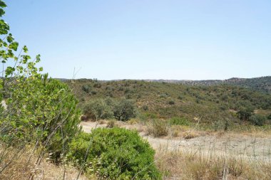 a vertical shot of a mountain road in the desert