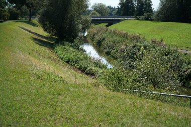 Bir sürü ağacı olan yeşil çimenler.