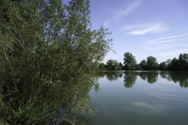 Parktaki gölün güzel manzarası