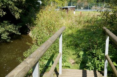 wooden bridge, a pond and trees