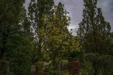 Parkın güzel manzarası