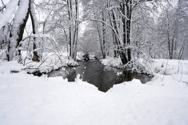 Karla kaplı ağaçlarla kaplı kış manzarası