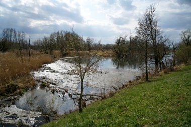 Nehir ve ağaçlarla dolu güzel bir manzara