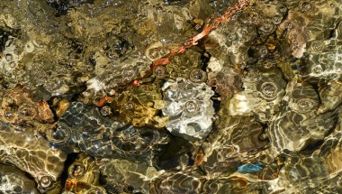 abstract background with a lot of colored stones