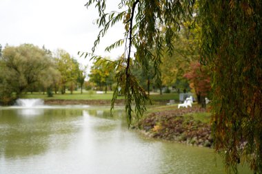 Parktaki gölün güzel manzarası