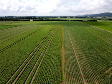 aerial view of agricultural fields and forests in the netherlands