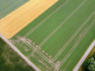 Tarımsal alanların hava manzarası.
