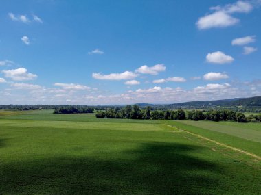 Ağaçları ve mavi gökyüzü olan yeşil tarla