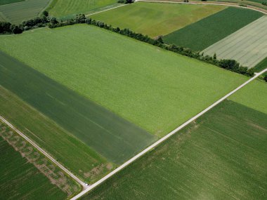 Yeşil tarlaların ve tepelerin havadan görünüşü