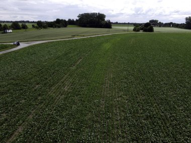 Çimenli yeşil alan