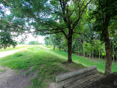 Parkın güzel manzarası