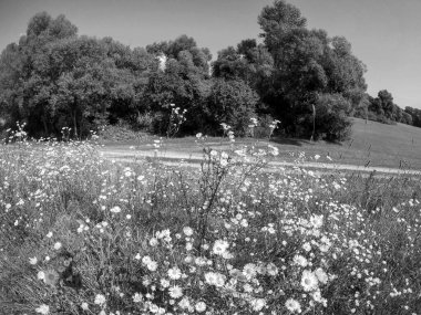İsrail Eyaleti Adası 'nın güzel manzarası.