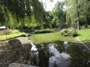 Parkın güzel manzarası