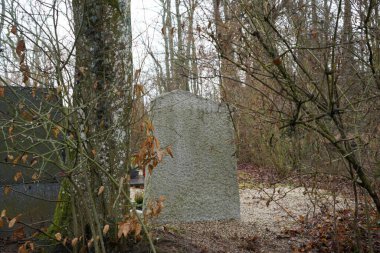 Ormanda büyük taştan bir ev.