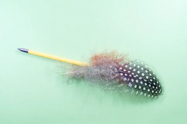 a closeup shot of a brush with a feather on a blue background