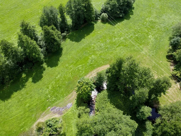 aerial view of the green grass and trees in the park