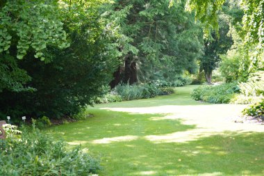 Güzel botanik fotoğrafı, doğal duvar kağıdı.