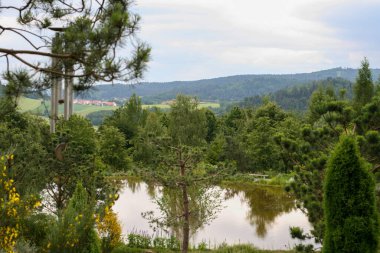 Yeni eyaletin adasının manzarası.