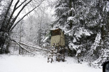 Ormandaki eski ahşap ev