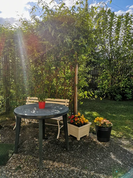 Schöner Garten Mit Holzbank Und Stuhl — Stockfoto
