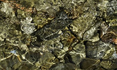 Deniz dokusuna sahip soyut arkaplan