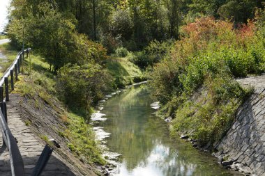 Ormandaki nehrin güzel manzarası