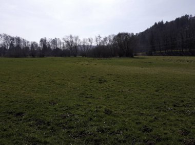 DCIM\ 100 MEDIA\ DJI _ 0019.JPG