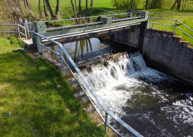 Nehir ormanda akıyor.