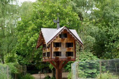 Ormanda küçük bir ev.