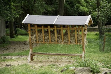 Parktaki ahşap bank.