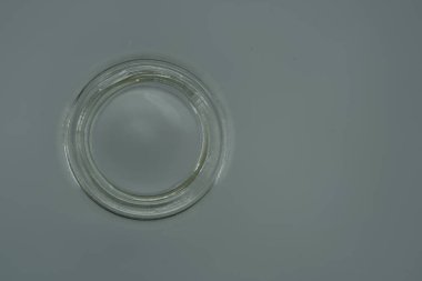 things of everyday life free in detail