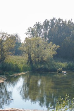 Tuna Nehri ve eski suları Regensburg yakınlarındaki Bavyera 'da fotoğraflanmıştır.