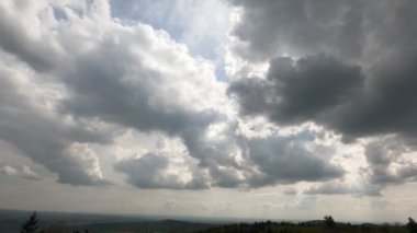 Aerial view of the river and the forest in the early spring