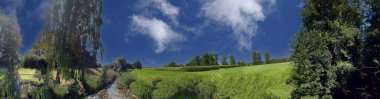 Panoramic view of the forest of Bavaria with green trees